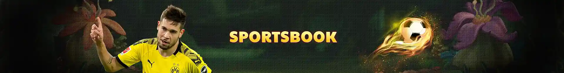 winplus Sports Betting